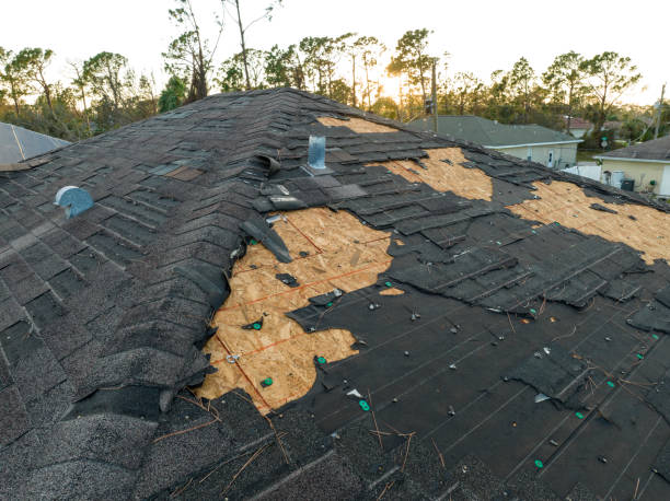 Best Solar Panel Roofing Installation  in Belle Haven, VA